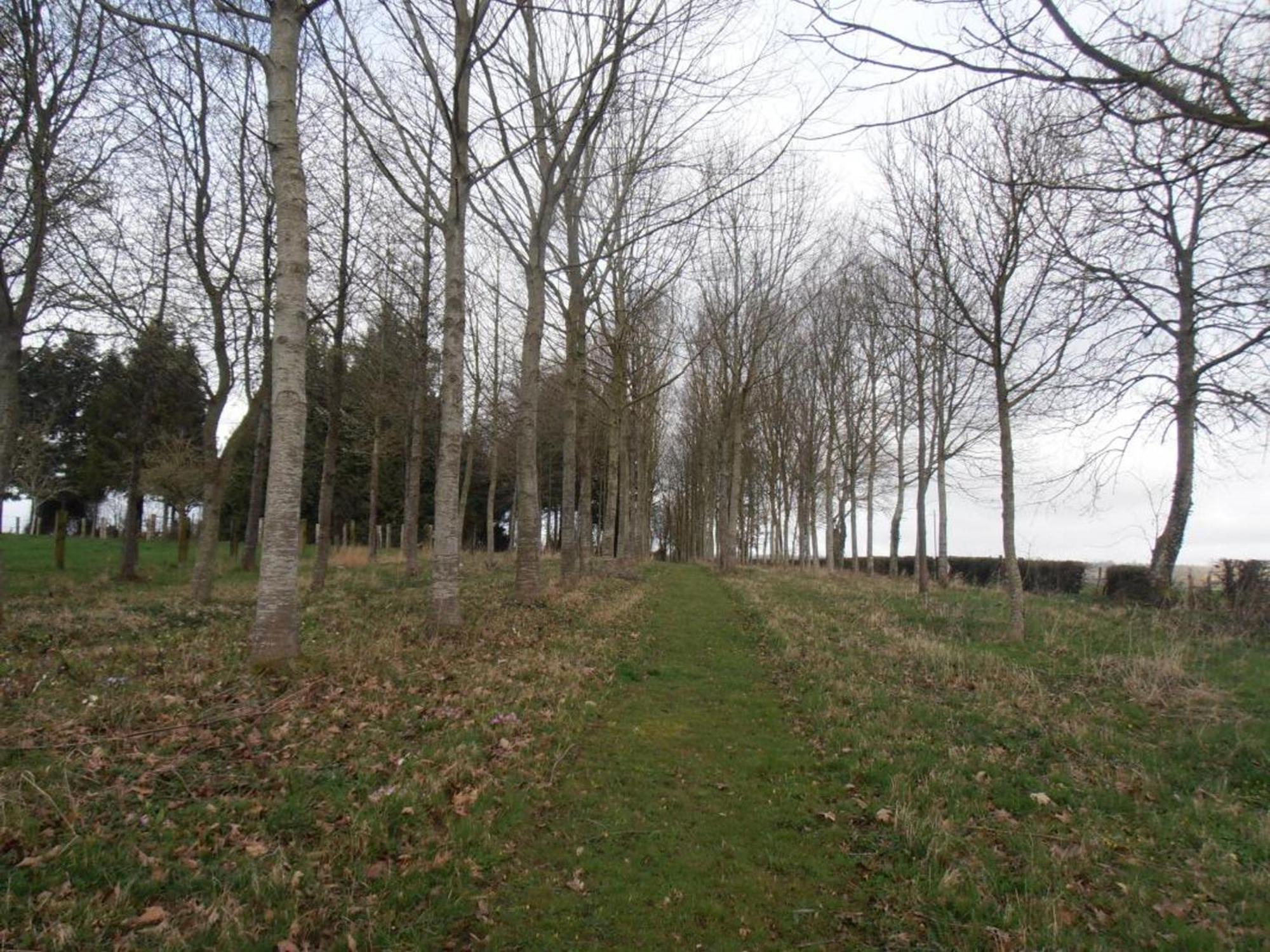 Maison De Charme Avec Grand Jardin, Proche Haras Du Pin, Animaux Acceptes, Ideale Pour Familles - Fr-1-497-5 Saint-Pierre-la-Riviere Kültér fotó